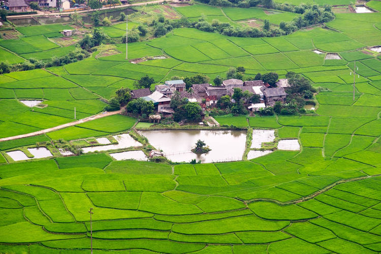 Vue sur les rizières et le village à Mai Chau
