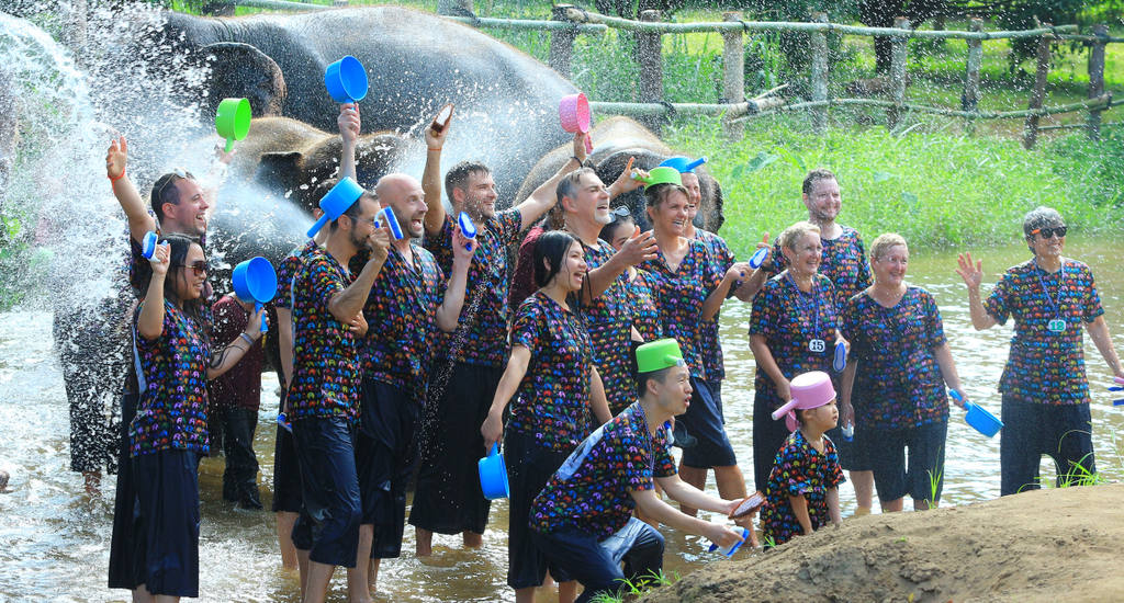 Expériences dans le sanctuaire des éléphants à Chiang Mai